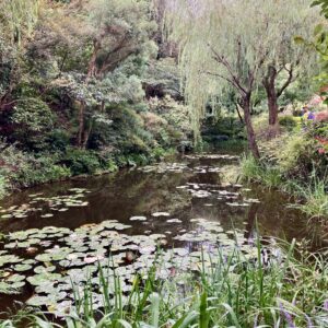 地中美術館 モネの池