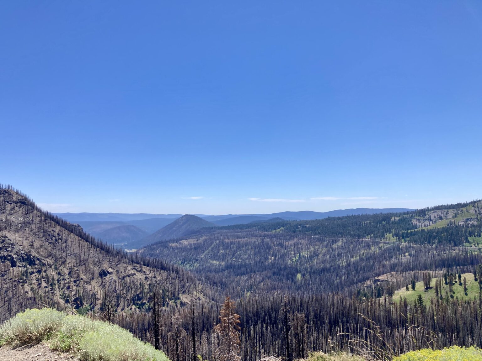 ラッセン火山国立公園（カリフォルニア州） WEST COASTER