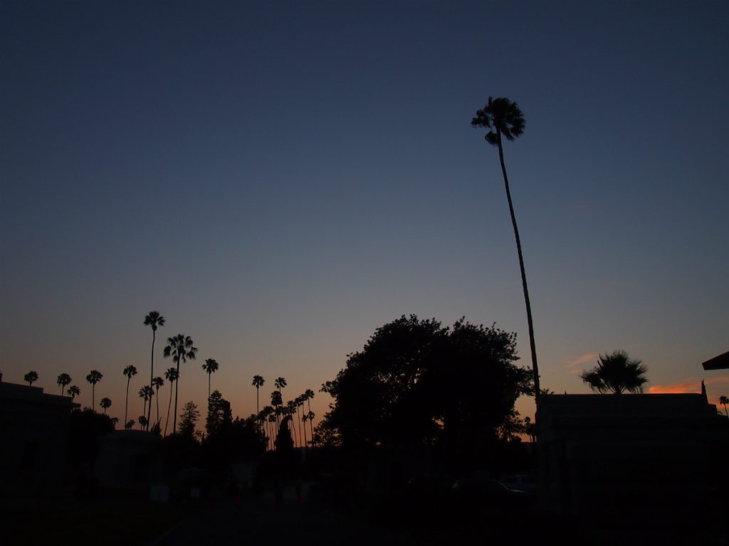 cinespia sunset