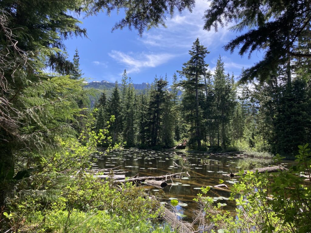 Sea to Sky Gondola