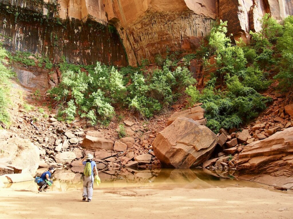 ザイオン国立公園 Upper Emerald Pool