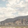 パーム・スプリングス（Palm Springs）観光のおすすめ